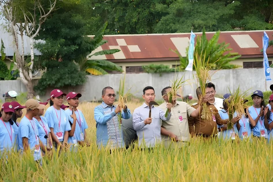 Kebanggaan Desa Mata Air: Wapres Gibran Hadiri Panen Raya dan Serahkan Bantuan Alat Modern di Agroeduwisata Sinode GMIT Tarus