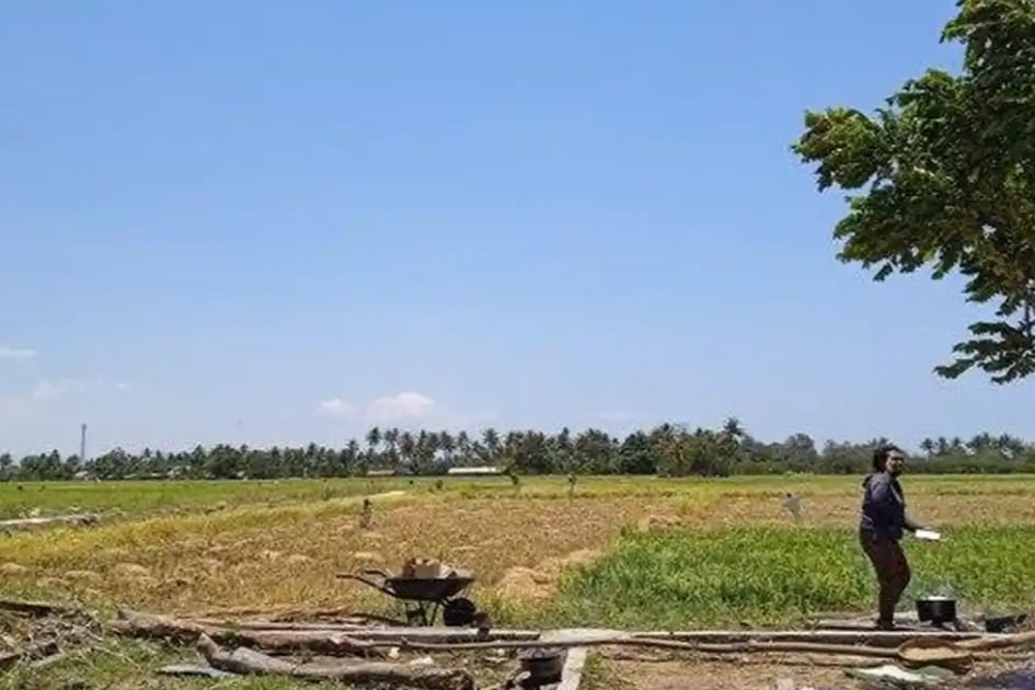 Desa Mata Air di Kabupaten Kupang Miliki Obyek Wisata dan Jadi Salah Satu Sentra Produksi Padi